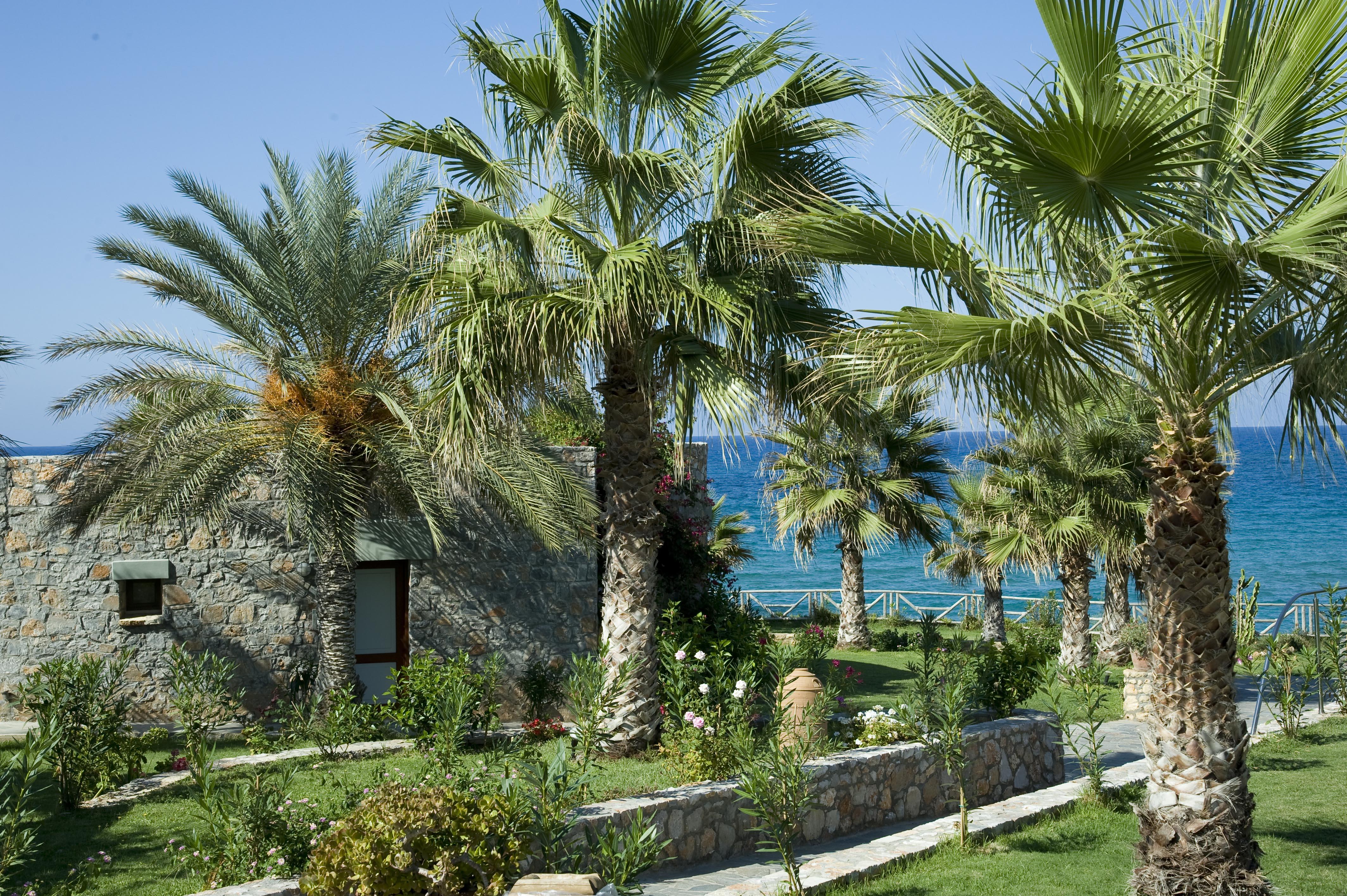 Ikaros Beach, Luxury Resort&Spa Malia Exterior foto